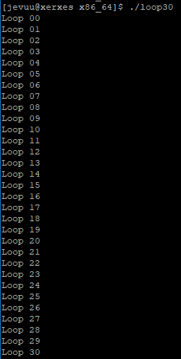loop30-x86-output